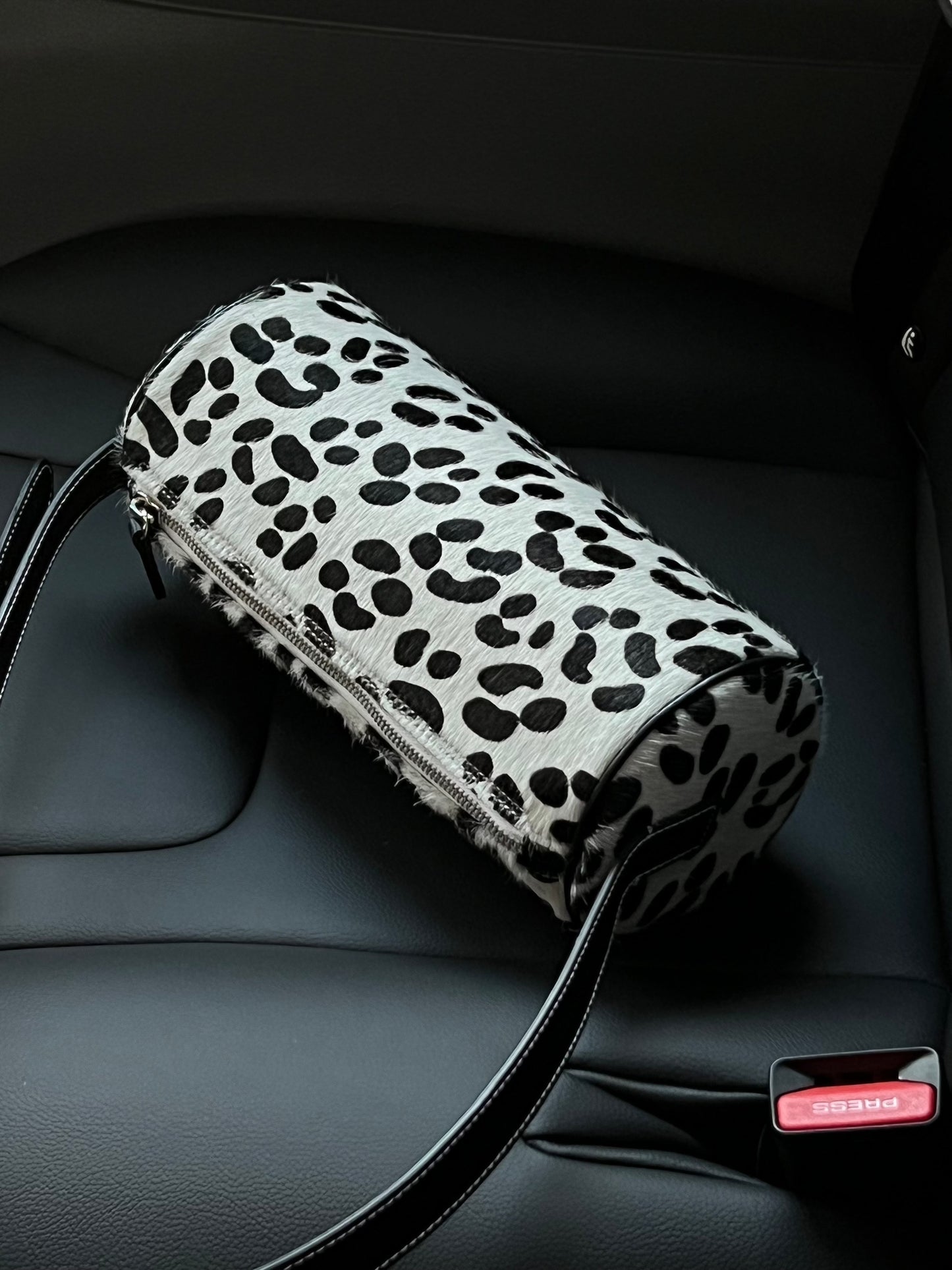 Bulles in Dalmatian - darahamarneh