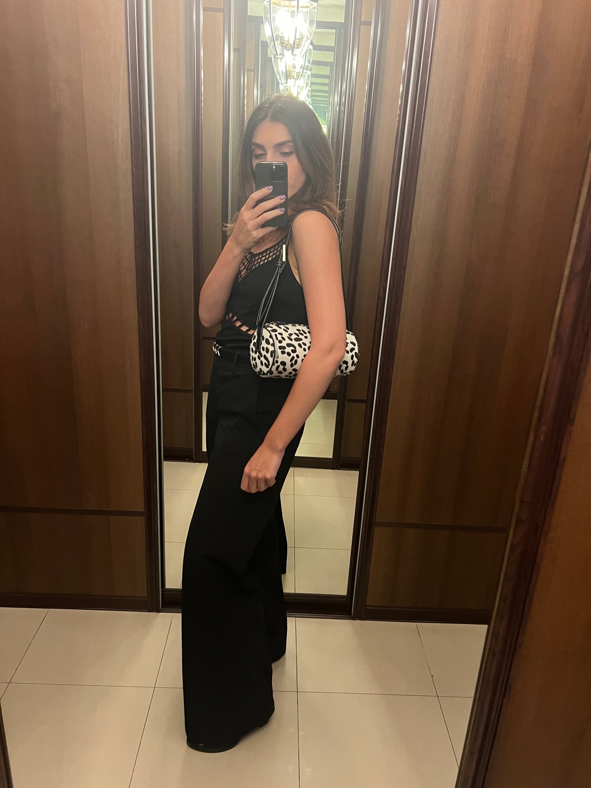 Bulles in Dalmatian - darahamarneh