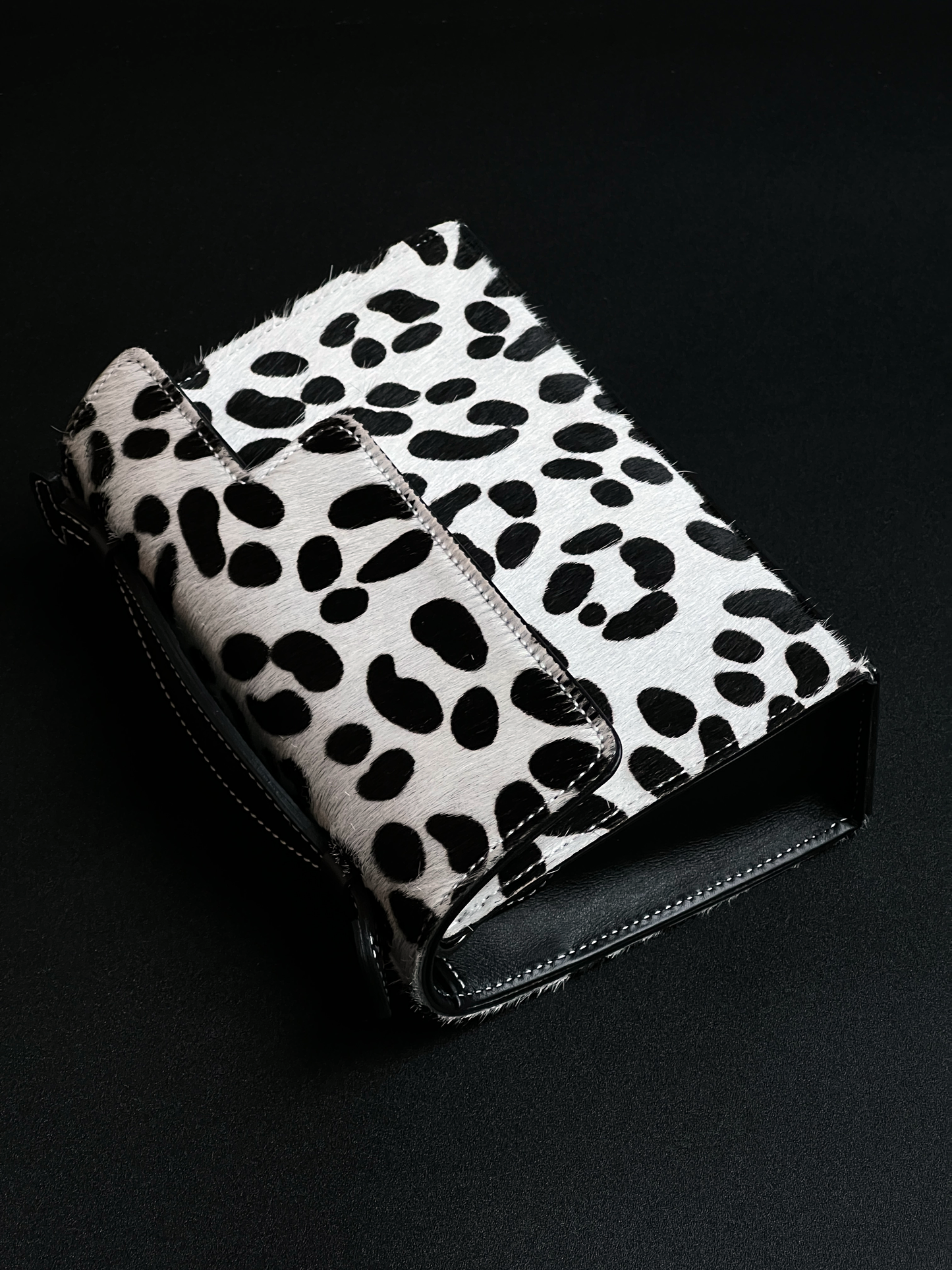 Valletta in Dalmatian - darahamarneh