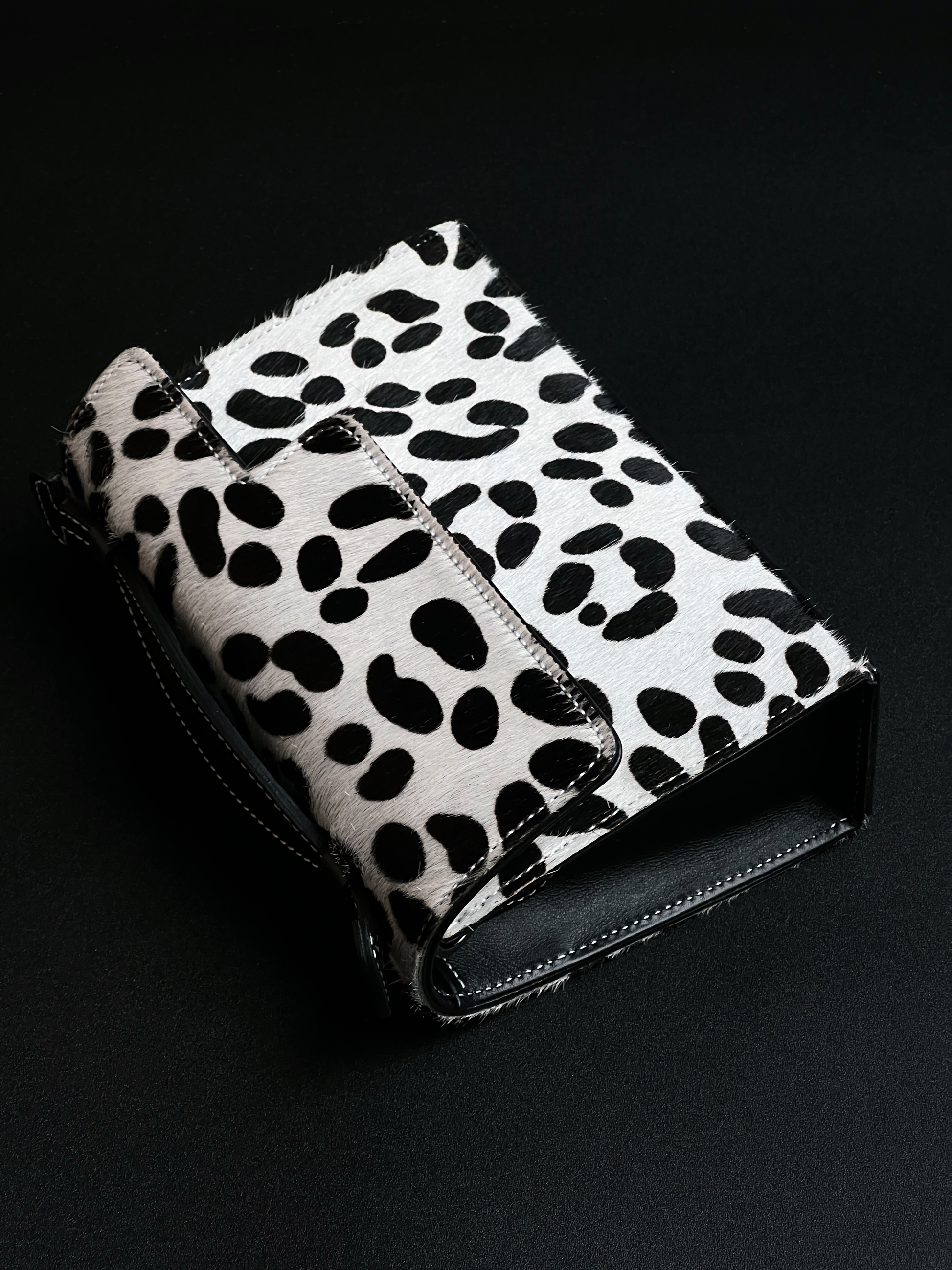 Valletta in Dalmatian - darahamarneh