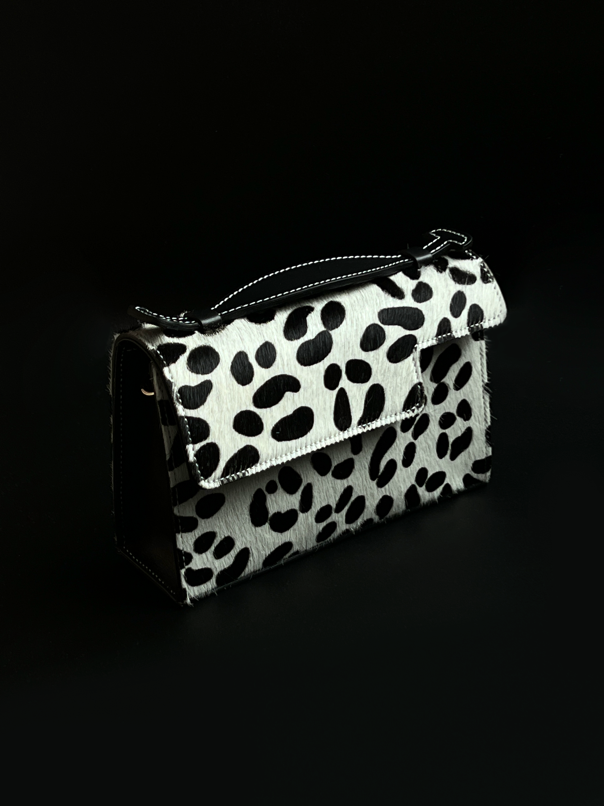 Valletta in Dalmatian - darahamarneh