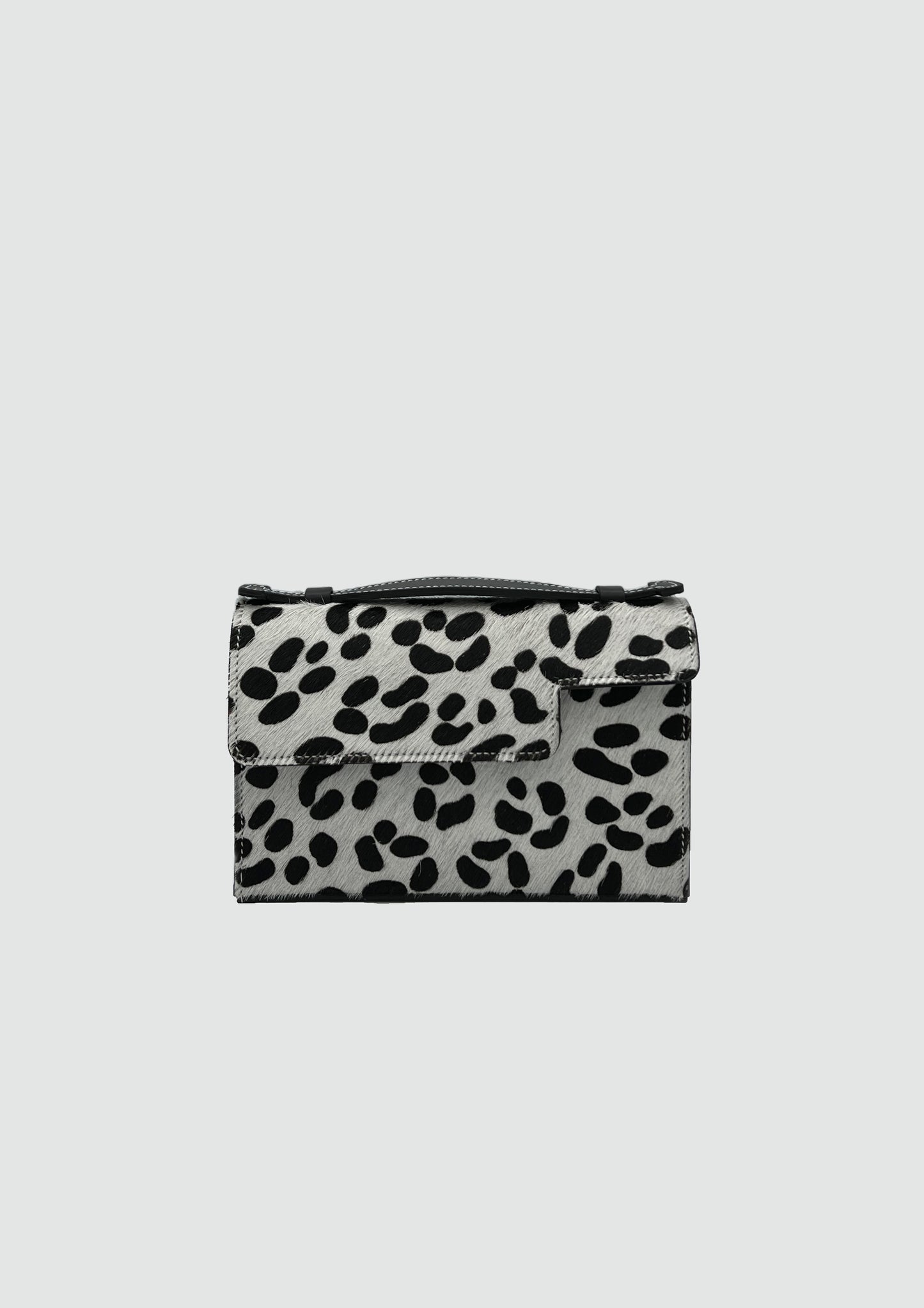 Valletta in Dalmatian - darahamarneh