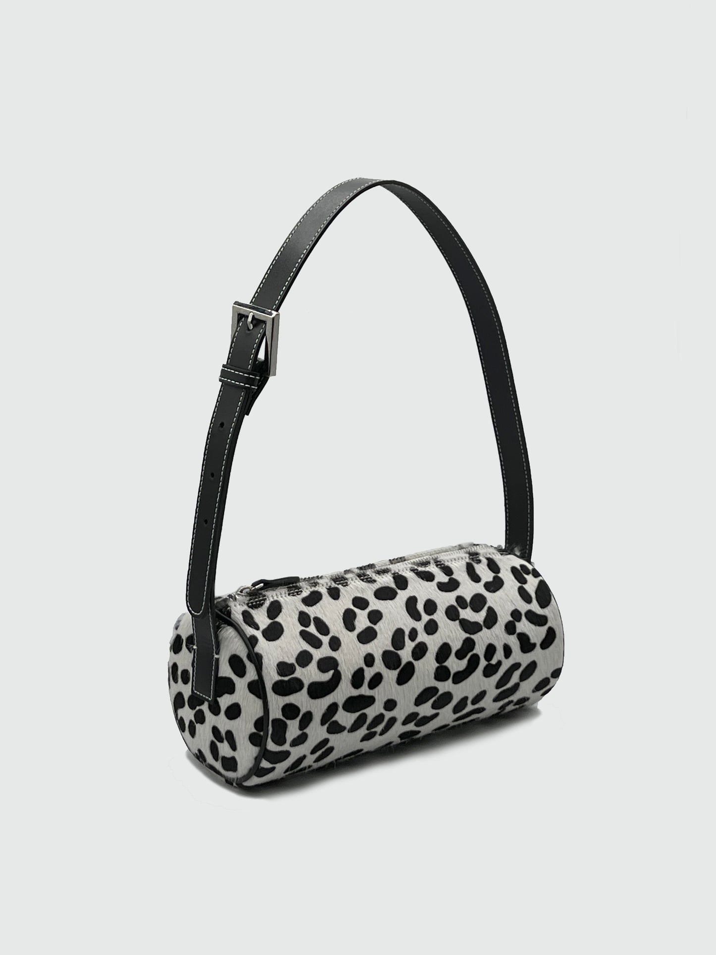 Bulles in Dalmatian - darahamarneh