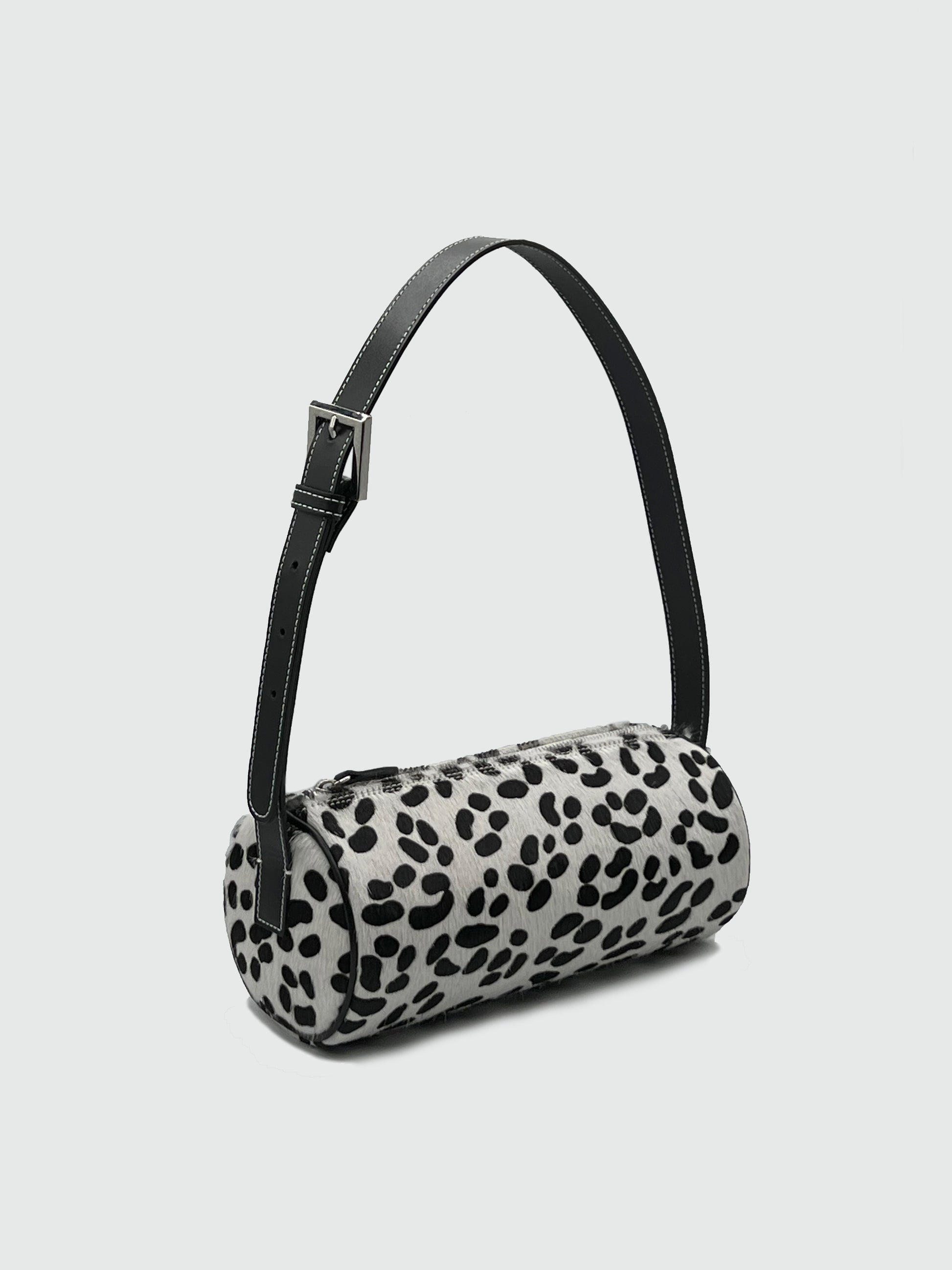 Bulles in Dalmatian - darahamarneh