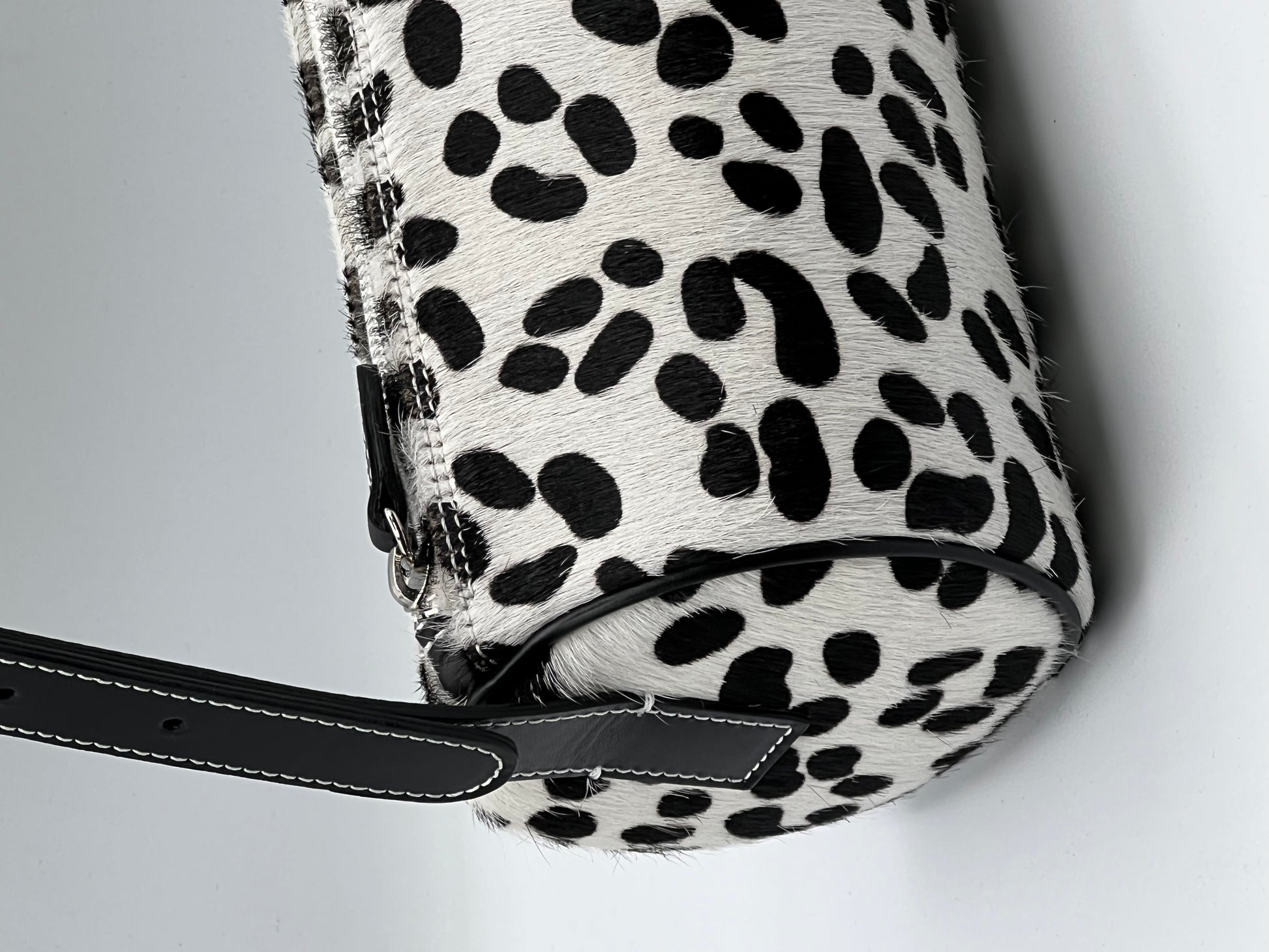 Bulles in Dalmatian - darahamarneh