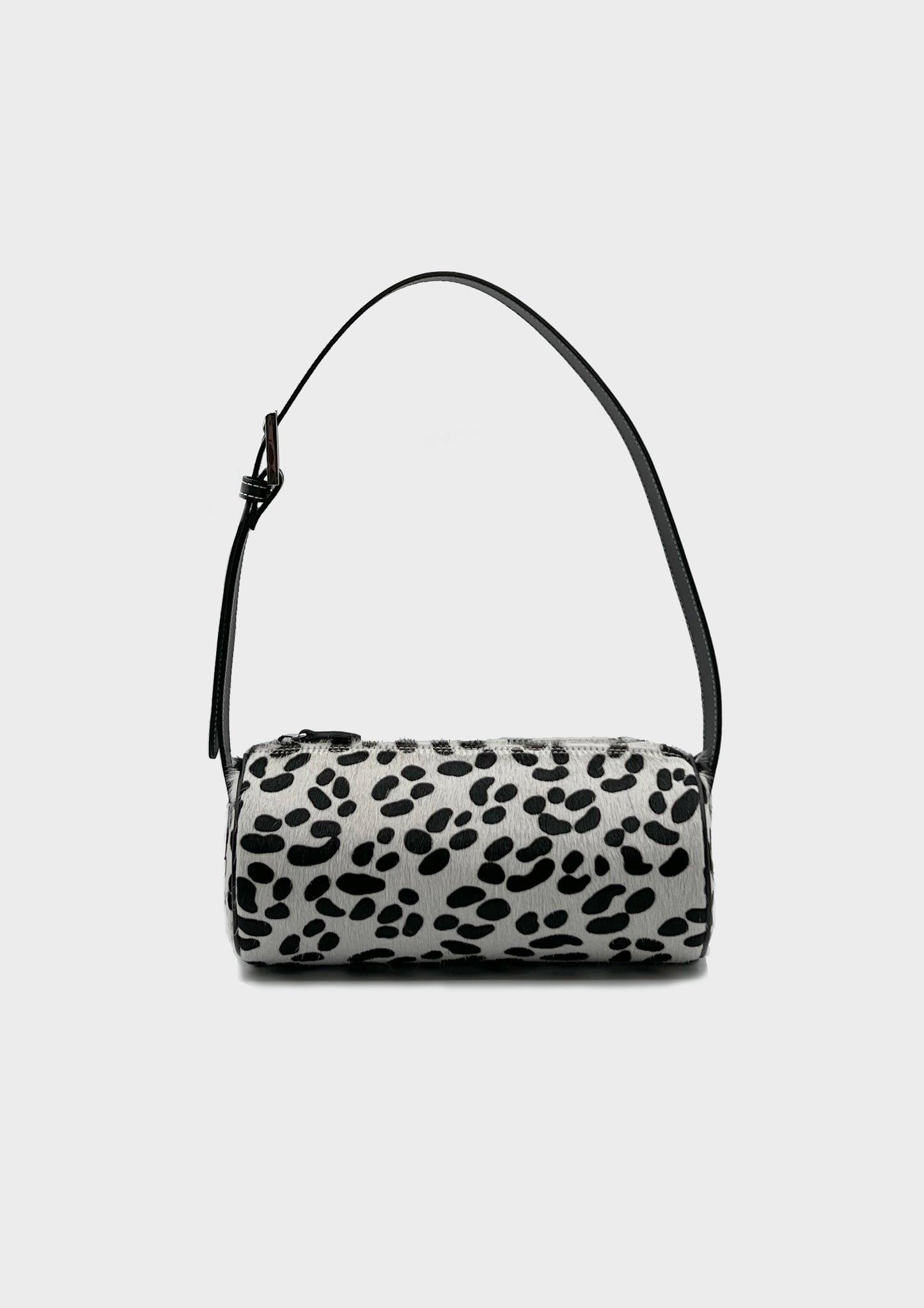 Bulles in Dalmatian - darahamarneh