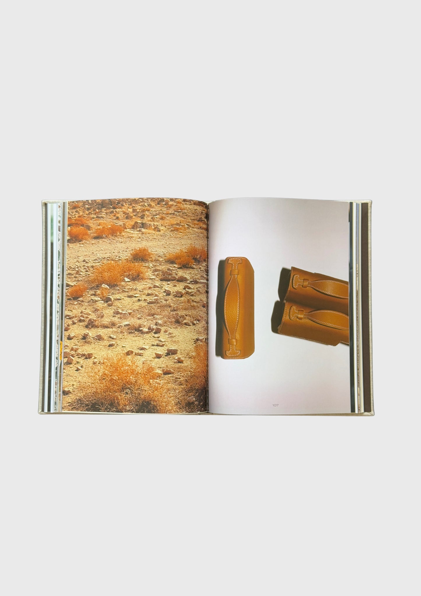Dara Hamarneh: Coffee Table Book